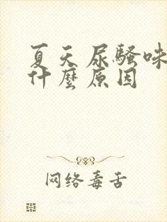 夏天尿骚味重是什么原因