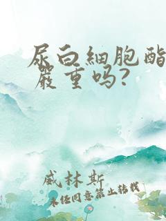 尿白细胞酯酶2 严重吗?