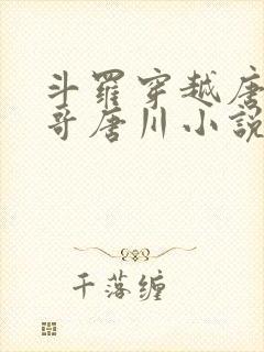 斗罗穿越唐三亲哥唐川小说