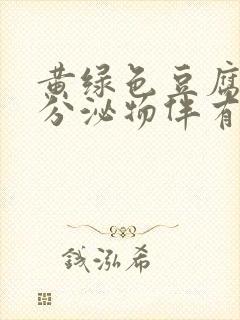 黄绿色豆腐渣样分泌物伴有瘙痒