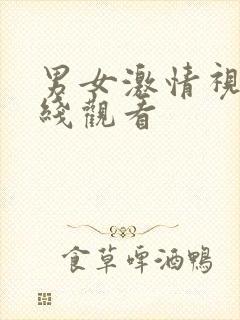 男女激情视频在线观看