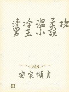 清冷温柔攻的双男主小说