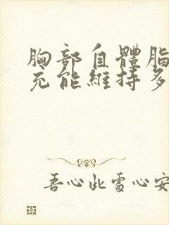 胸部自体脂肪填充能维持多久