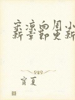 宋凉向周小说最新章节更新