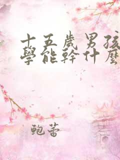 十五岁男孩不上学能干什么工作