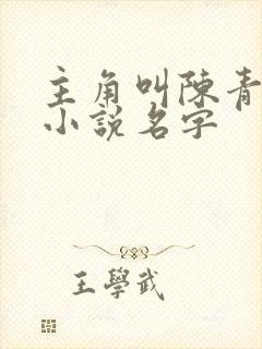 主角叫陈青阳的小说名字