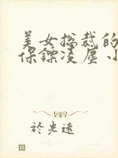 美女总裁的贴身保镖凌尘 小说