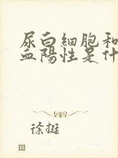 尿白细胞和尿隐血阳性是什么病