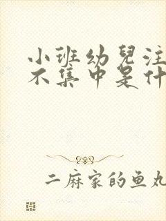 小班幼儿注意力不集中是什么原因