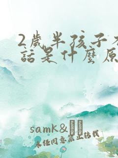 2岁半孩子不说话是什么原因