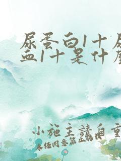 尿蛋白1十尿潜血1十是什么病