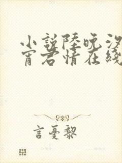 小说陆晚汐傅湮宵君情在线阅读