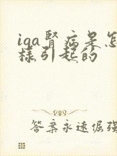 iga肾病是怎样引起的