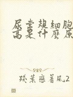 尿常规细胞计数高是什么原因