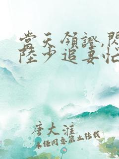 当天领证,闪婚陆少追妻忙