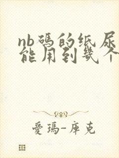 nb码的纸尿裤能用到几个月