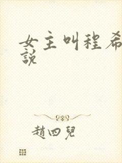 女主叫程希的小说