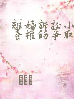 离婚诉讼小孩抚养权的争取