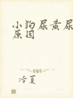 小狗尿黄尿什么原因