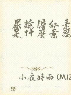 尿检胆红素 1是什么意思