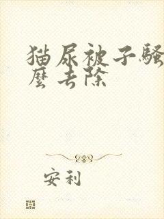 猫尿被子骚味怎么去除