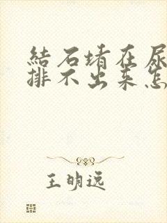 结石堵在尿道口排不出来怎么办