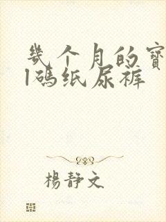 几个月的宝宝用l码纸尿裤