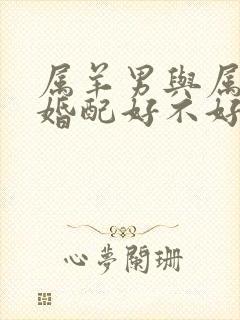 属羊男与属鼠女婚配好不好