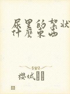 尿里的絮状物是什么东西