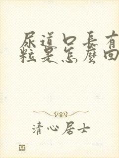 尿道口长有小肉粒是怎么回事