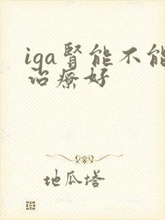 iga肾能不能治疗好