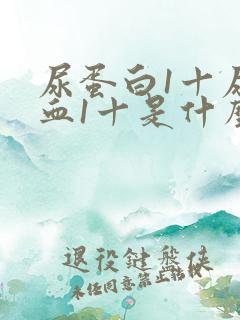 尿蛋白1十尿隐血1十是什么病