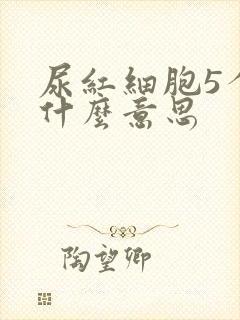 尿红细胞5个是什么意思