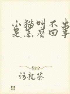 小猫叫不出声音是怎么回事