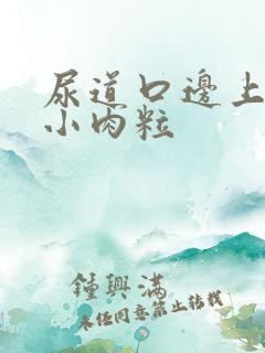 尿道口边上长了小肉粒