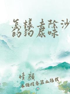 怎样去除沙发上的狗尿味