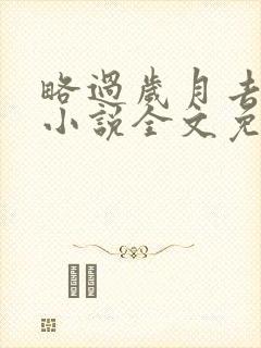 略过岁月去爱你小说全文免费阅读