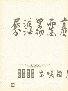 尿液里面有白色分泌物怎么回事