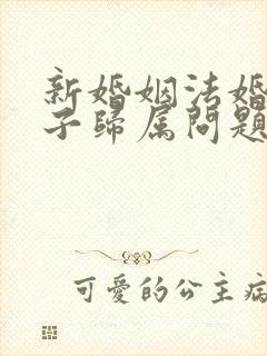 新婚姻法婚后房子归属问题