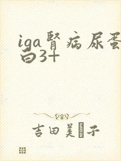 iga肾病尿蛋白3+