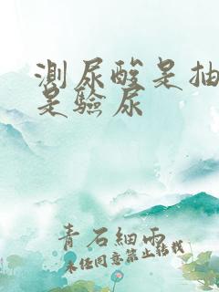 测尿酸是抽血还是验尿