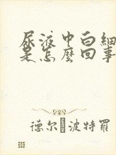 尿液中白细胞高是怎么回事