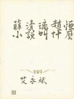 薛清璃赵恒原著小说叫什么