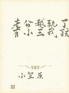 老公越轨了外面有小三我该怎么办