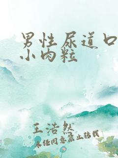 男性尿道口长个小肉粒