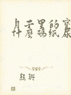 月子里的宝宝用什么码纸尿裤