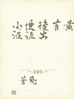 小便后有黄色粘液流出