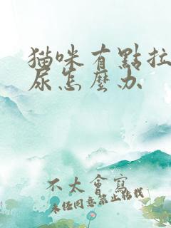 猫咪有点拉不出尿怎么办