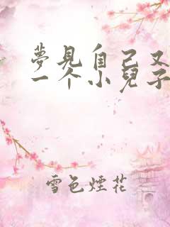 梦见自己又多了一个小儿子