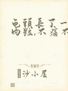 龟头长了一颗小肉粒,不痛不痒